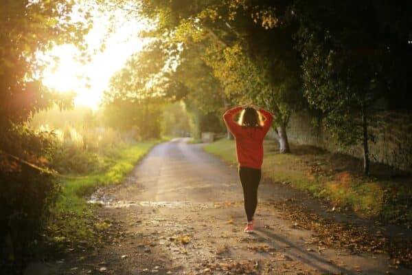 comprehend the mind 10 Tips on managing holiday stress and practicing self care